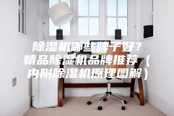 除濕機哪些牌子好？精品除濕機品牌推薦（內(nèi)附除濕機原理圖解）