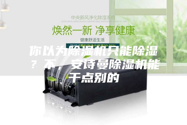 你以為除濕機(jī)只能除濕？不，安詩(shī)曼除濕機(jī)能干點(diǎn)別的