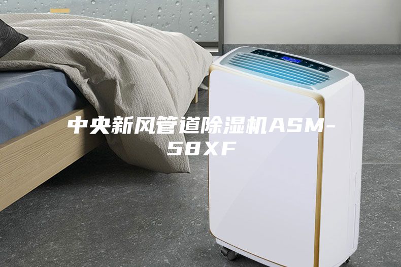 中央新風(fēng)管道除濕機ASM-58XF