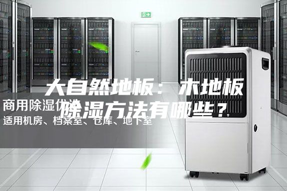 大自然地板：木地板除濕方法有哪些？