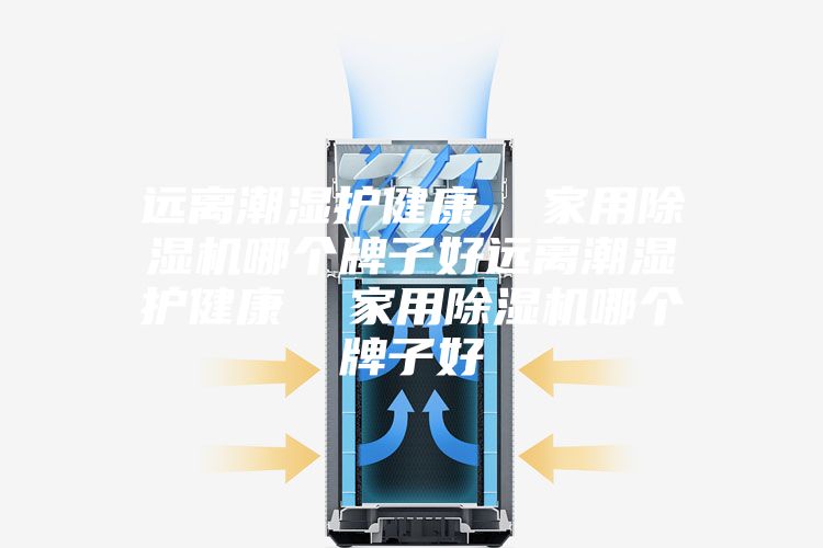 遠(yuǎn)離潮濕護(hù)健康  家用除濕機哪個牌子好遠(yuǎn)離潮濕護(hù)健康  家用除濕機哪個牌子好