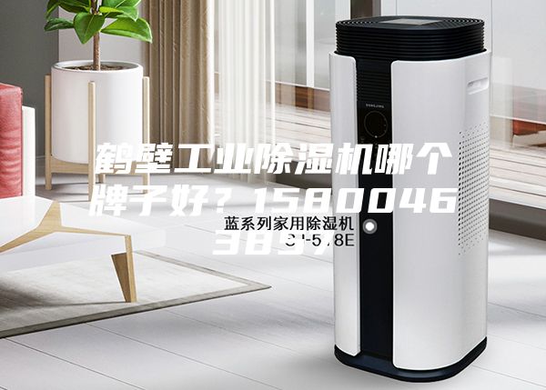 鶴壁工業除濕機哪個牌子好？15800463857