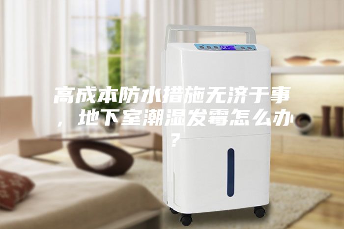 高成本防水措施無濟于事，地下室潮濕發霉怎么辦？