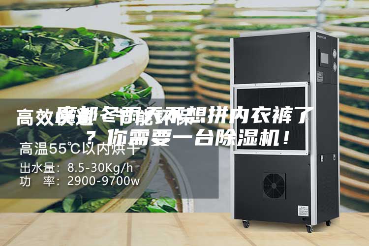 魔都冬雨天不想拼內衣褲了？你需要一臺除濕機！