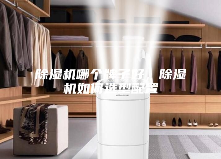 除濕機哪個牌子好，除濕機如何選型配置