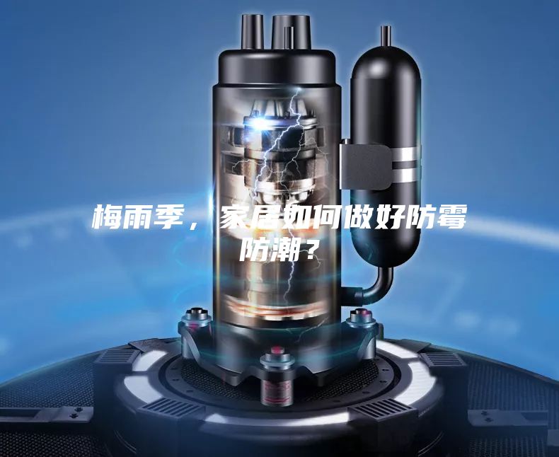 梅雨季，家居如何做好防霉防潮？