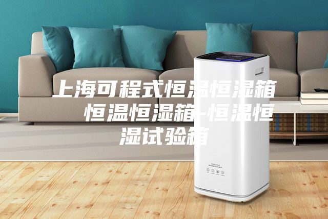 上?？沙淌胶銣睾銤裣? 恒溫恒濕箱-恒溫恒濕試驗箱