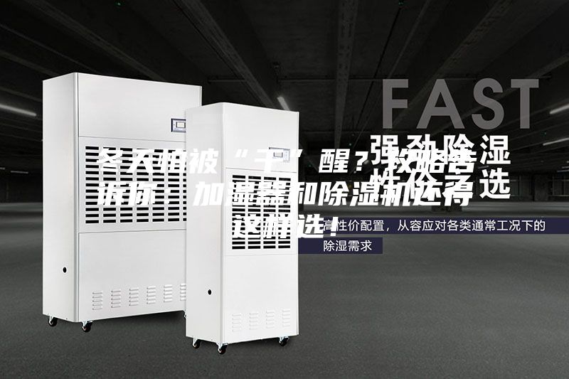 冬天怕被“干”醒？攻略告訴你：加濕器和除濕機還得這樣選！