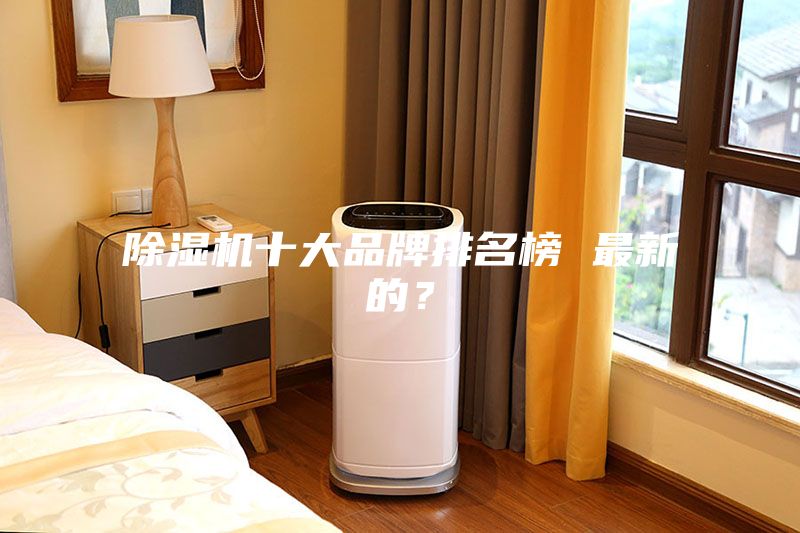 除濕機十大品牌排名榜 最新的？