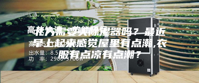 北方需要買除濕器嗎？最近早上起來感覺屋里有點潮,衣服有點涼有點潮？