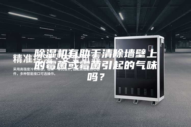 除濕機(jī)有助于清除墻壁上的霉菌或霉菌引起的氣味嗎？
