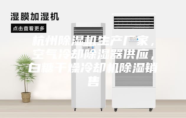 杭州除濕機(jī)生產(chǎn)廠家，空氣冷卻除濕器供應(yīng)，白糖干燥冷卻機(jī)除濕銷(xiāo)售