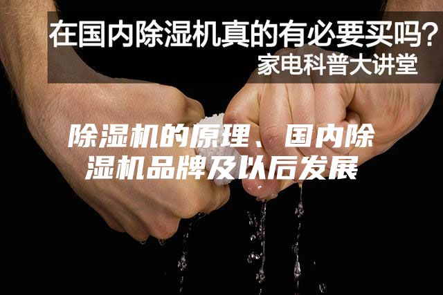 除濕機的原理、國內除濕機品牌及以后發展
