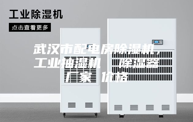 武漢市配電房除濕機(jī)，工業(yè)抽濕機(jī)  除濕器廠家 價(jià)格