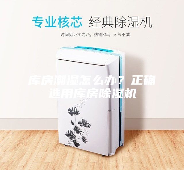 庫房潮濕怎么辦？正確選用庫房除濕機
