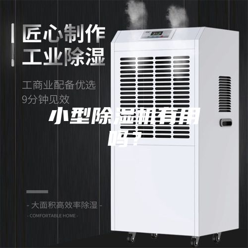 小型除濕機有用嗎？