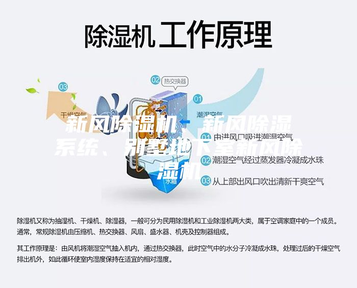 新風(fēng)除濕機(jī)、新風(fēng)除濕系統(tǒng)、別墅地下室新風(fēng)除濕機(jī)