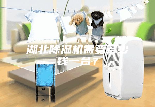 湖北除濕機(jī)需要多少錢(qián)一臺(tái)？