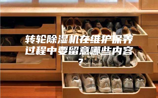 轉輪除濕機在維護保養過程中要留意哪些內容？