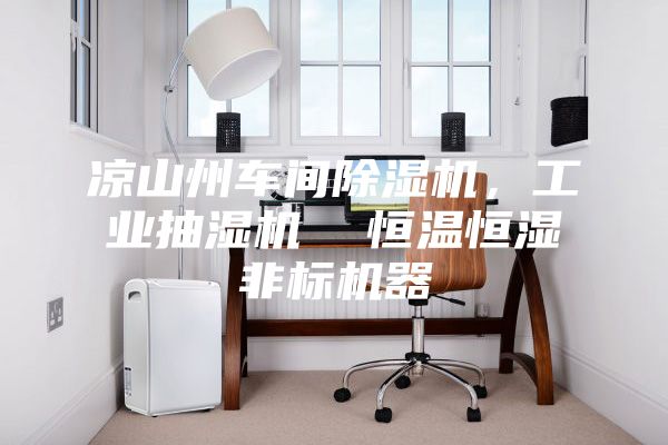 涼山州車間除濕機，工業抽濕機  恒溫恒濕非標機器