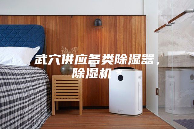 武穴供應(yīng)各類(lèi)除濕器，除濕機(jī)＊
