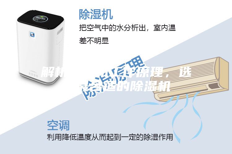 解析壓縮機工作原理，選購最合適的除濕機