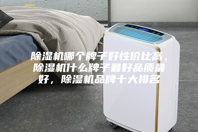 除濕機哪個牌子好性價比高，除濕機什么牌子最好品質最好，除濕機品牌十大排名