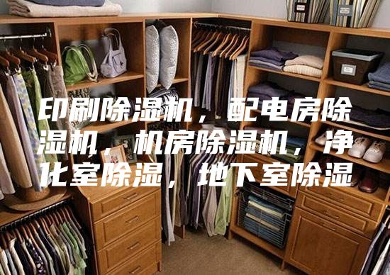 印刷除濕機，配電房除濕機，機房除濕機，凈化室除濕，地下室除濕
