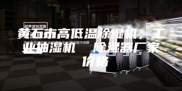 黃石市高低溫除濕機(jī)，工業(yè)抽濕機(jī)  除濕器廠家 價(jià)格