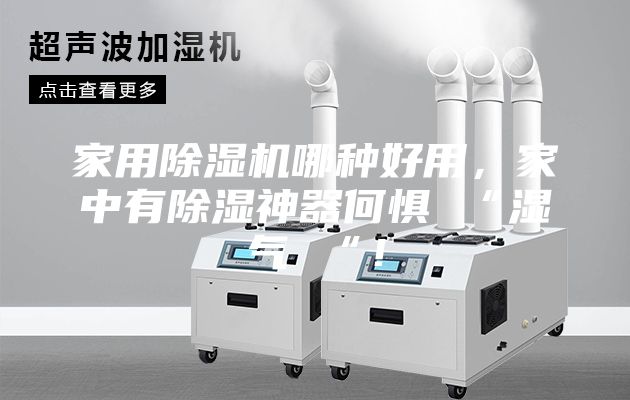 家用除濕機哪種好用，家中有除濕神器何懼 “濕氣 “！