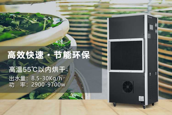 瘋狂的秋雨，打亂生活節奏，除濕機還是用起來！