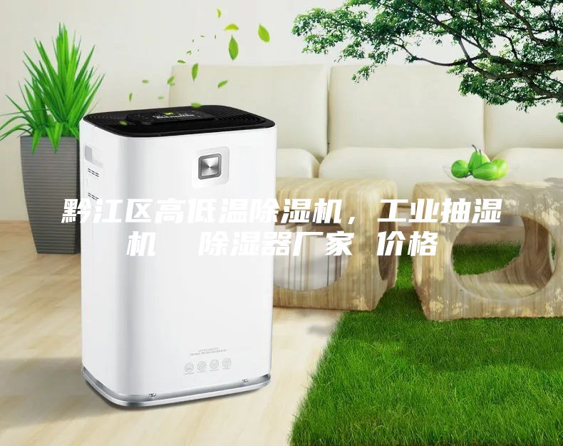 黔江區(qū)高低溫除濕機(jī)，工業(yè)抽濕機(jī)  除濕器廠家 價(jià)格