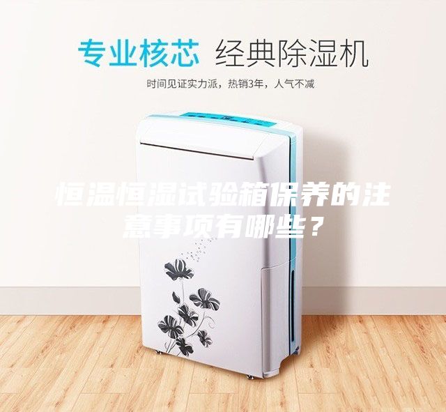 恒溫恒濕試驗箱保養(yǎng)的注意事項有哪些？