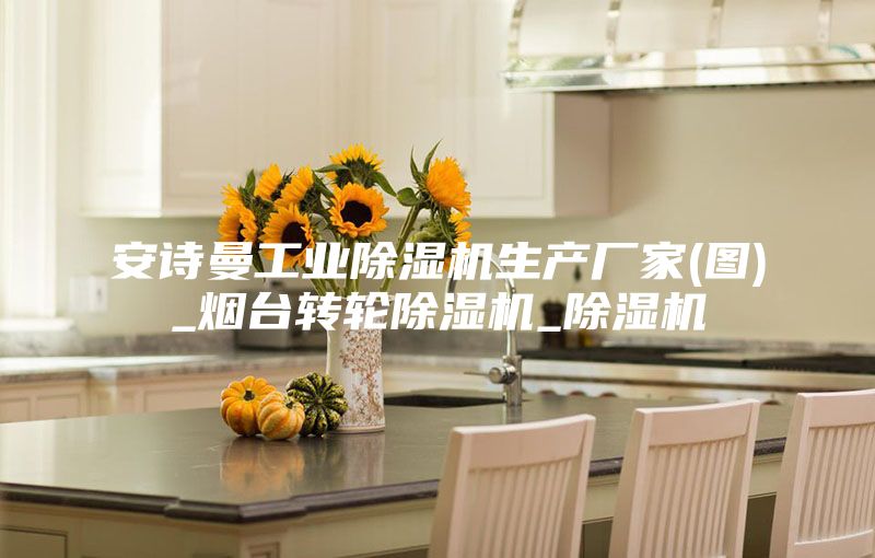 安詩曼工業(yè)除濕機生產廠家(圖)_煙臺轉輪除濕機_除濕機