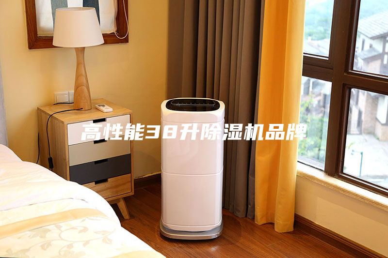 高性能38升除濕機(jī)品牌