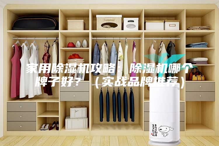 家用除濕機(jī)攻略：除濕機(jī)哪個(gè)牌子好？（實(shí)戰(zhàn)品牌推薦）