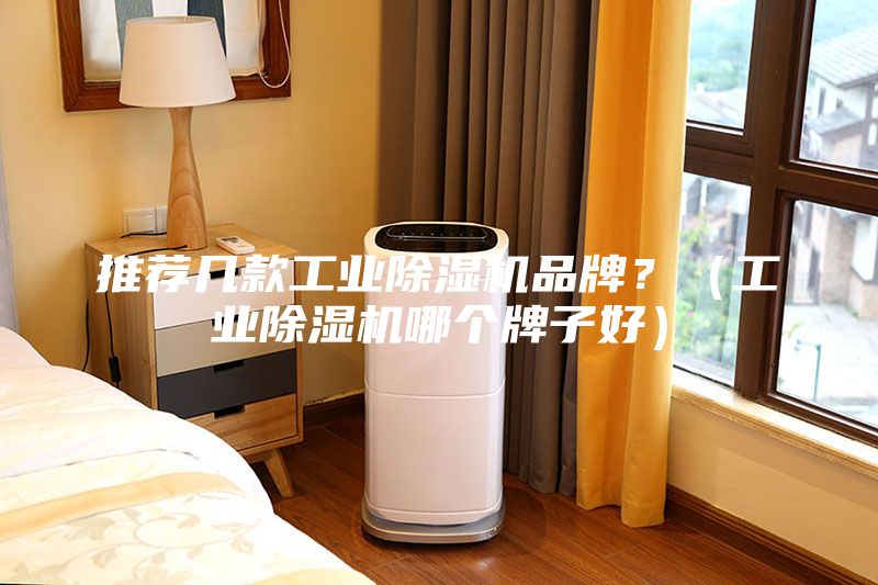 推薦幾款工業除濕機品牌？（工業除濕機哪個牌子好）