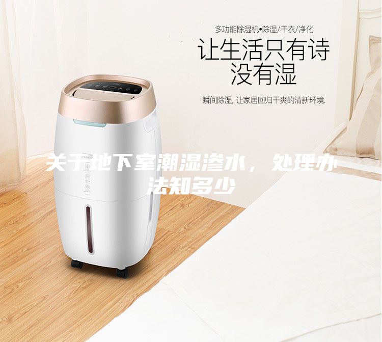 關于地下室潮濕滲水，處理辦法知多少