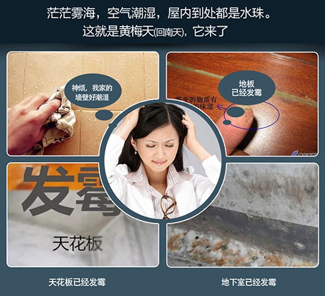 轉輪除濕機與一般除濕機相比有何不同？