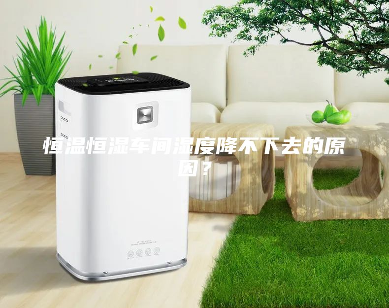 恒溫恒濕車(chē)間濕度降不下去的原因？