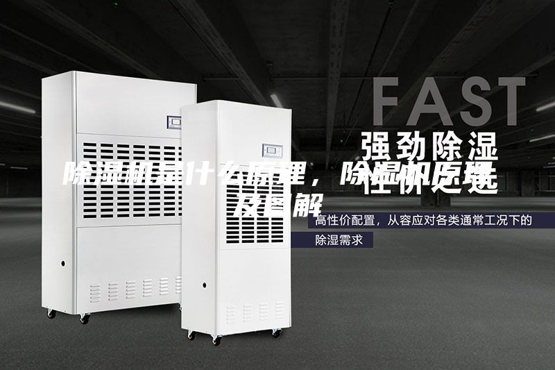 除濕機(jī)是什么原理，除濕機(jī)原理及圖解