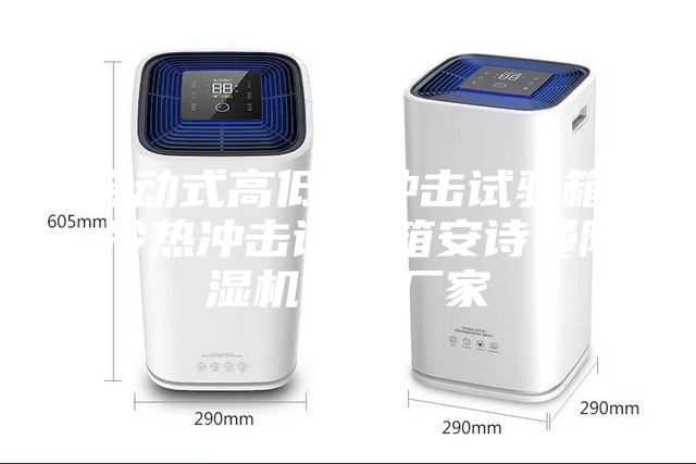 移動(dòng)式高低溫沖擊試驗(yàn)箱 冷熱沖擊試驗(yàn)箱安詩(shī)曼除濕機(jī)生產(chǎn)廠(chǎng)家