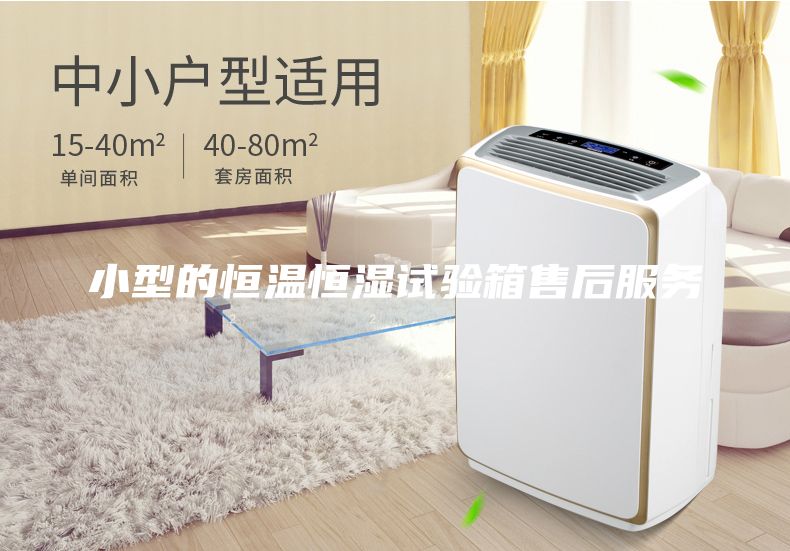 小型的恒溫恒濕試驗箱售后服務