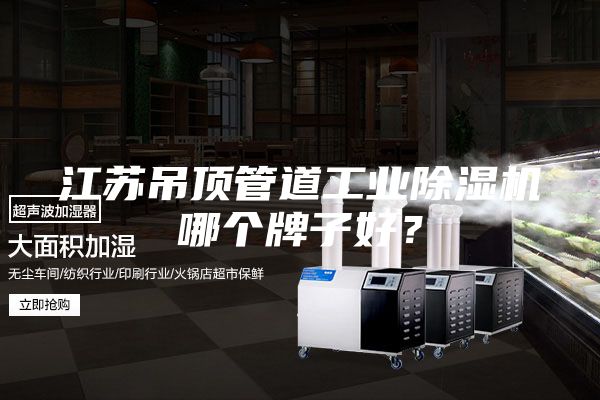 江蘇吊頂管道工業(yè)除濕機(jī)哪個(gè)牌子好？