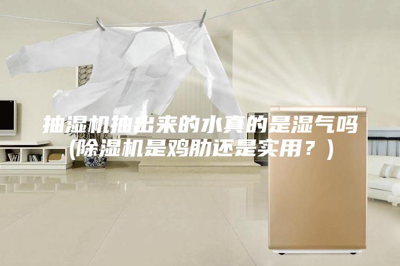 抽濕機抽出來的水真的是濕氣嗎(除濕機是雞肋還是實用？)