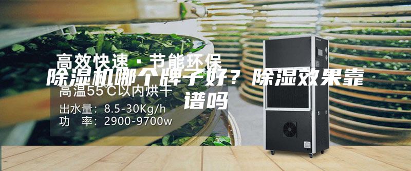 除濕機哪個牌子好？除濕效果靠譜嗎