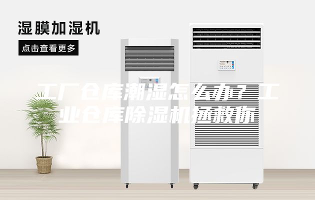 工廠倉庫潮濕怎么辦？工業倉庫除濕機拯救你