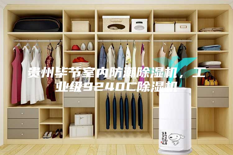 貴州畢節(jié)室內(nèi)防潮除濕機，工業(yè)級9240C除濕機