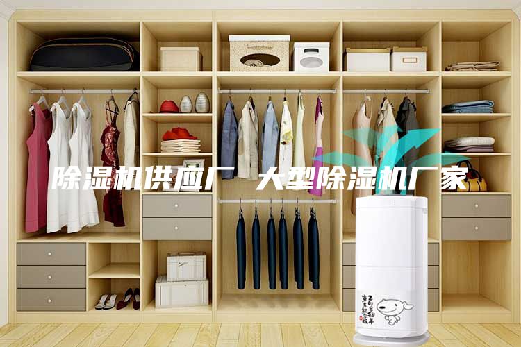 除濕機供應(yīng)廠 大型除濕機廠家