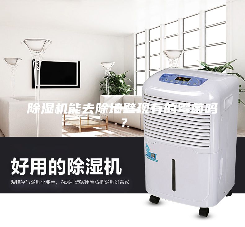 除濕機能去除墻壁現(xiàn)有的霉菌嗎？